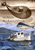 La-Pesca-de-la-Llampuga-mini